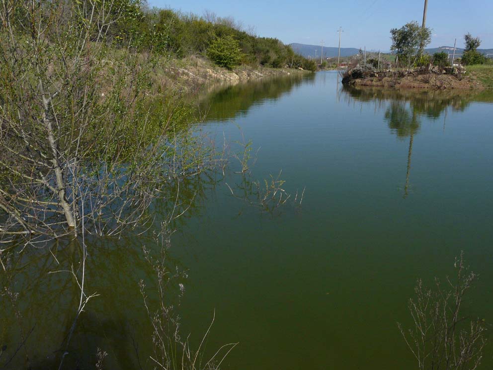 Lago artificiale da naturalizzare in piena Maremma!